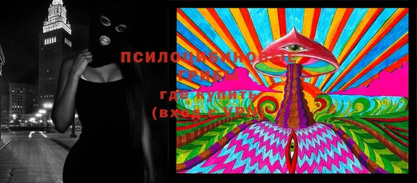 твердый Алзамай